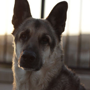 Meet your Posher, Vince